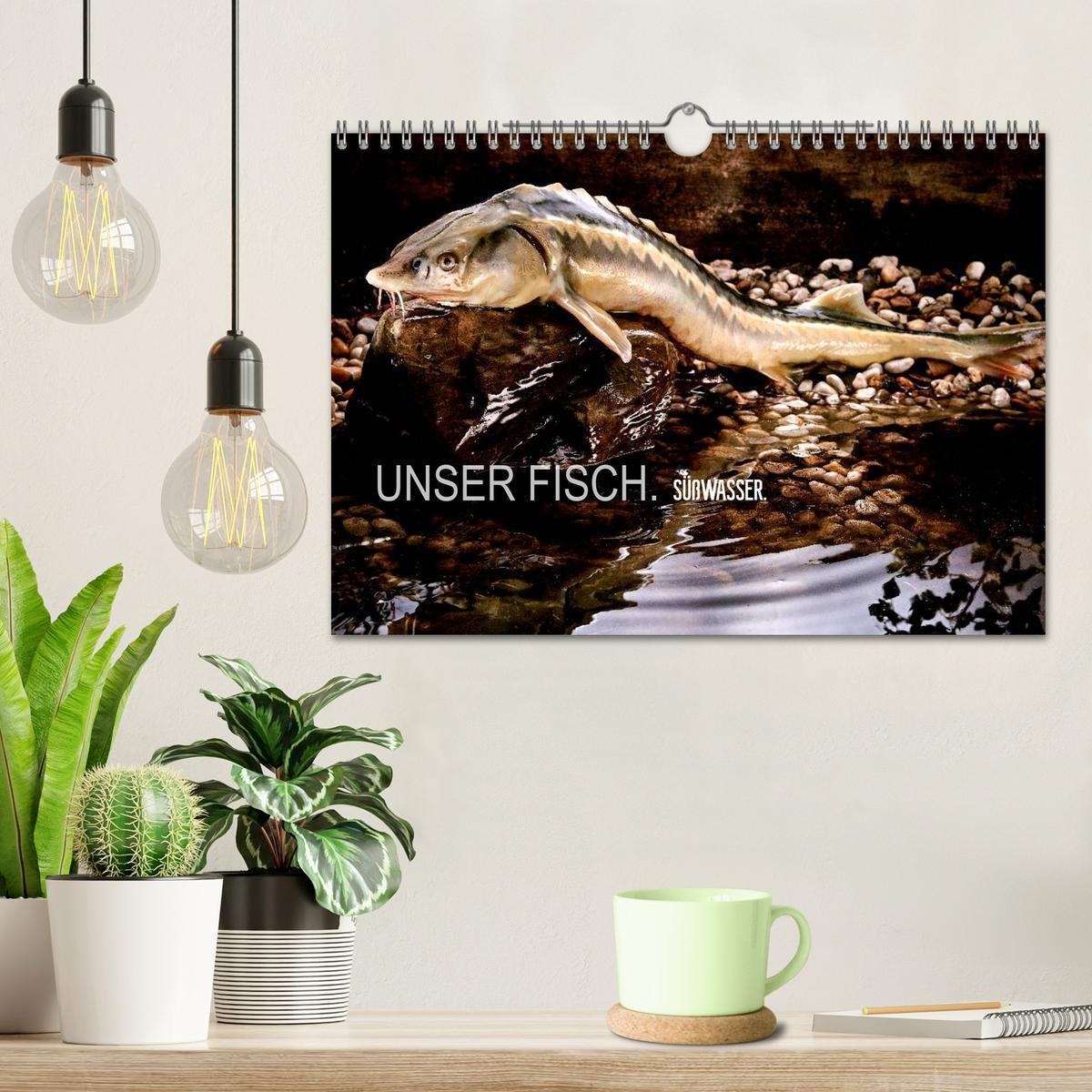 Bild: 9783435499090 | UNSER FISCH. SÜßWASSER. (Wandkalender 2025 DIN A4 quer), CALVENDO...