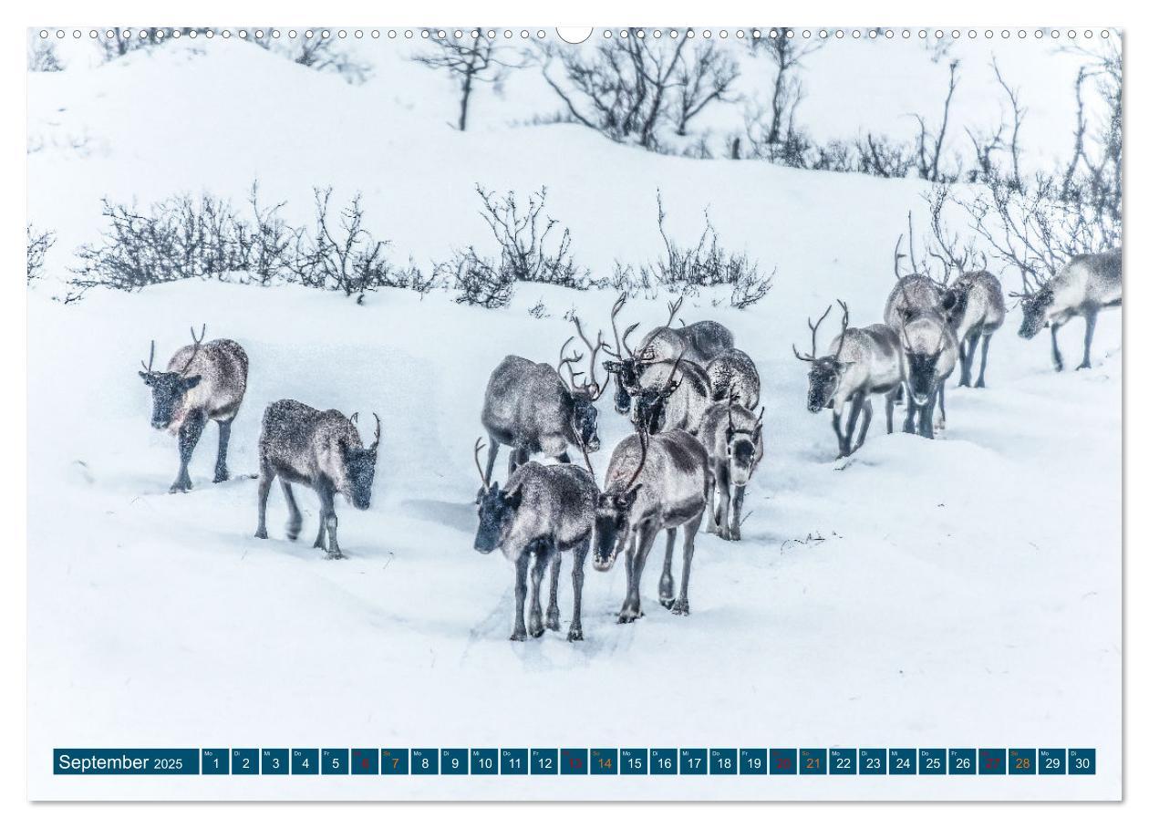 Bild: 9783383861475 | Von Tromsö nach Sommaroy - Winter in Norwegen (Wandkalender 2025...