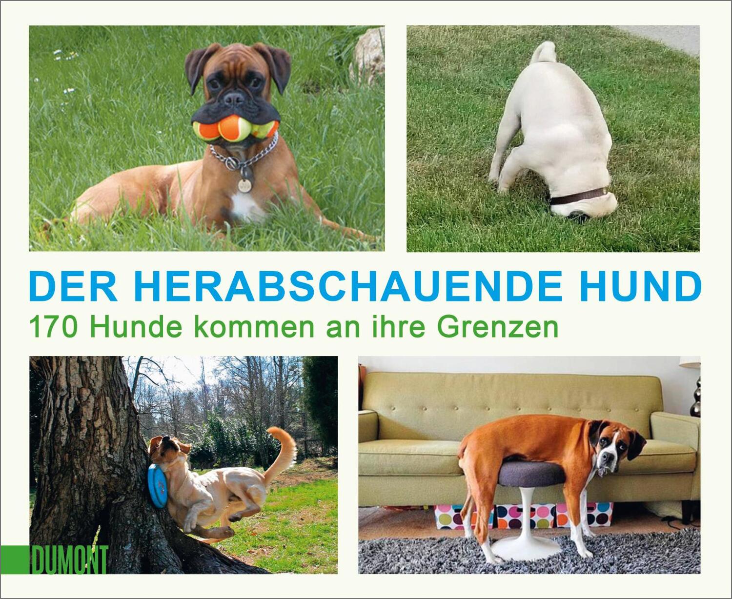 Cover: 9783832169138 | Der herabschauende Hund | 170 Hunde kommen an ihre Grenzen | Buch