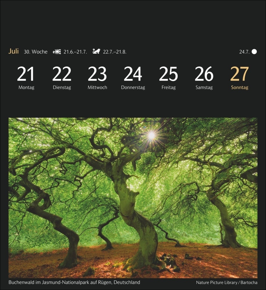 Bild: 9783840035111 | Magic Nature Postkartenkalender Kalender 2025 - Kalender mit 53...