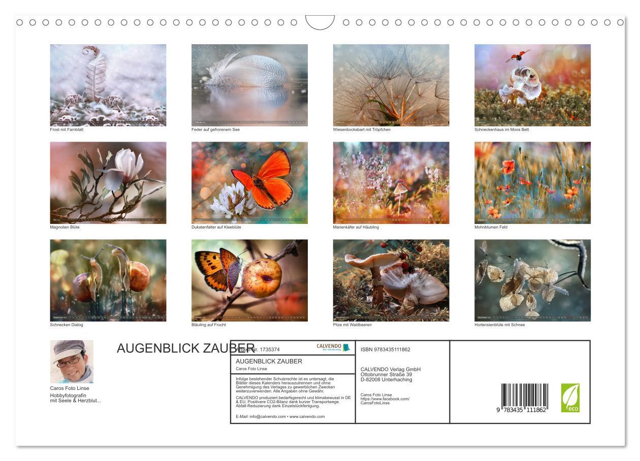 Bild: 9783435111862 | AUGENBLICK ZAUBER (Wandkalender 2025 DIN A3 quer), CALVENDO...