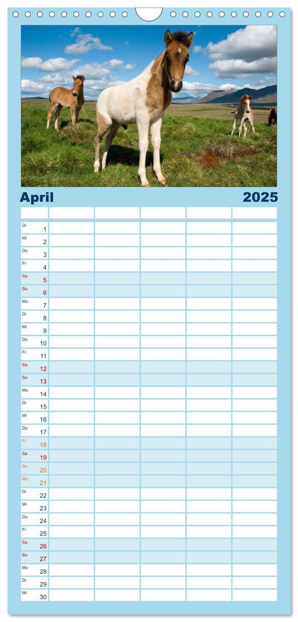 Bild: 9783457118511 | Familienplaner 2025 - Island mit 5 Spalten (Wandkalender, 21 x 45...