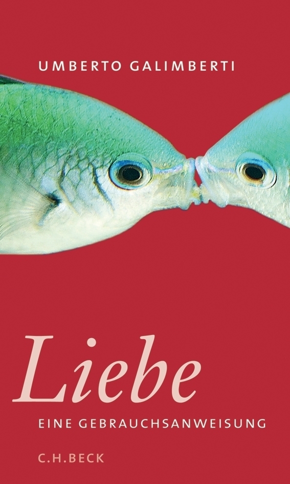 Cover: 9783406542091 | Liebe. Eine Gebrauchsanweisung | Eine Gebrauchsanweisung | Galimberti