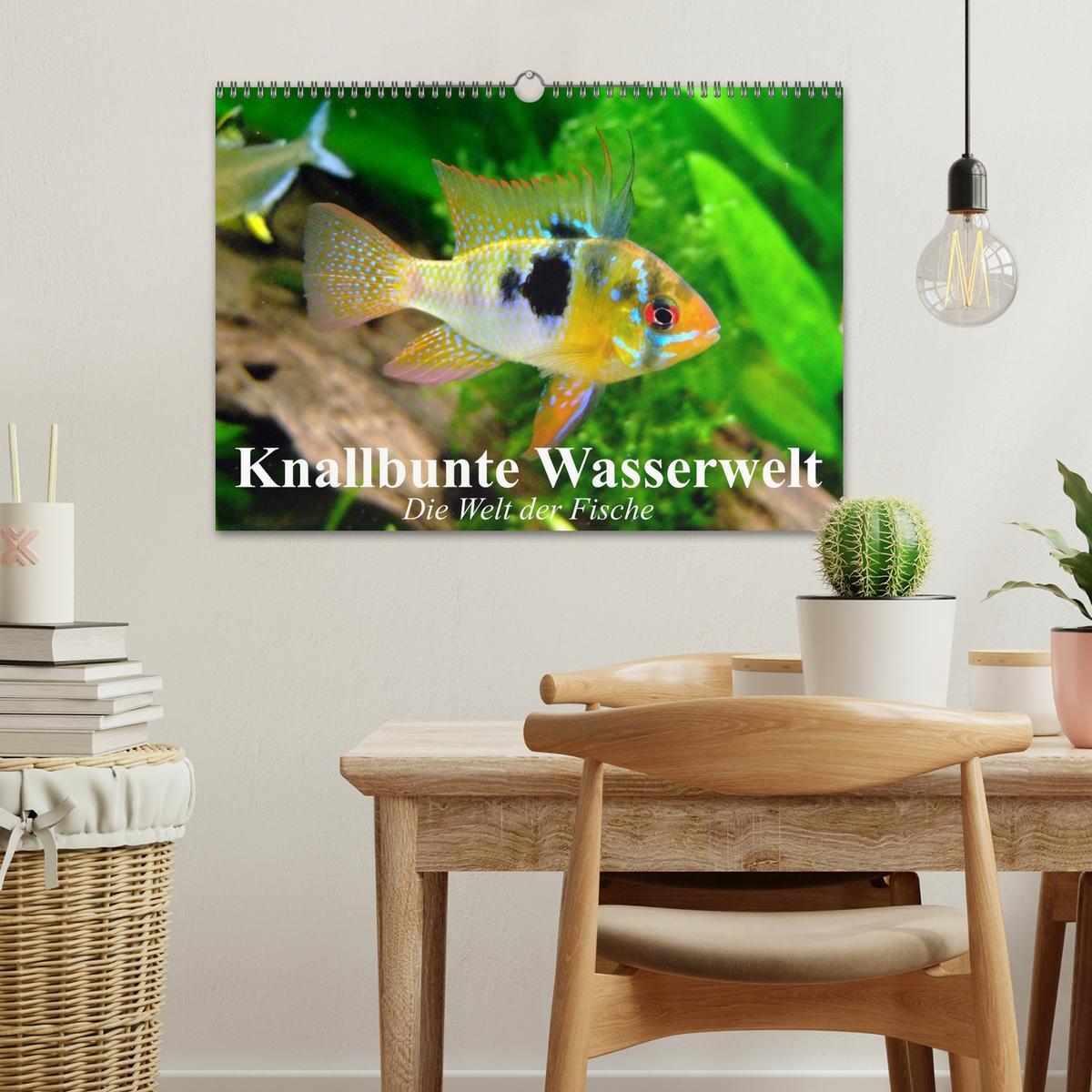 Bild: 9783435590445 | Knallbunte Wasserwelt. Die Welt der Fische (Wandkalender 2025 DIN...