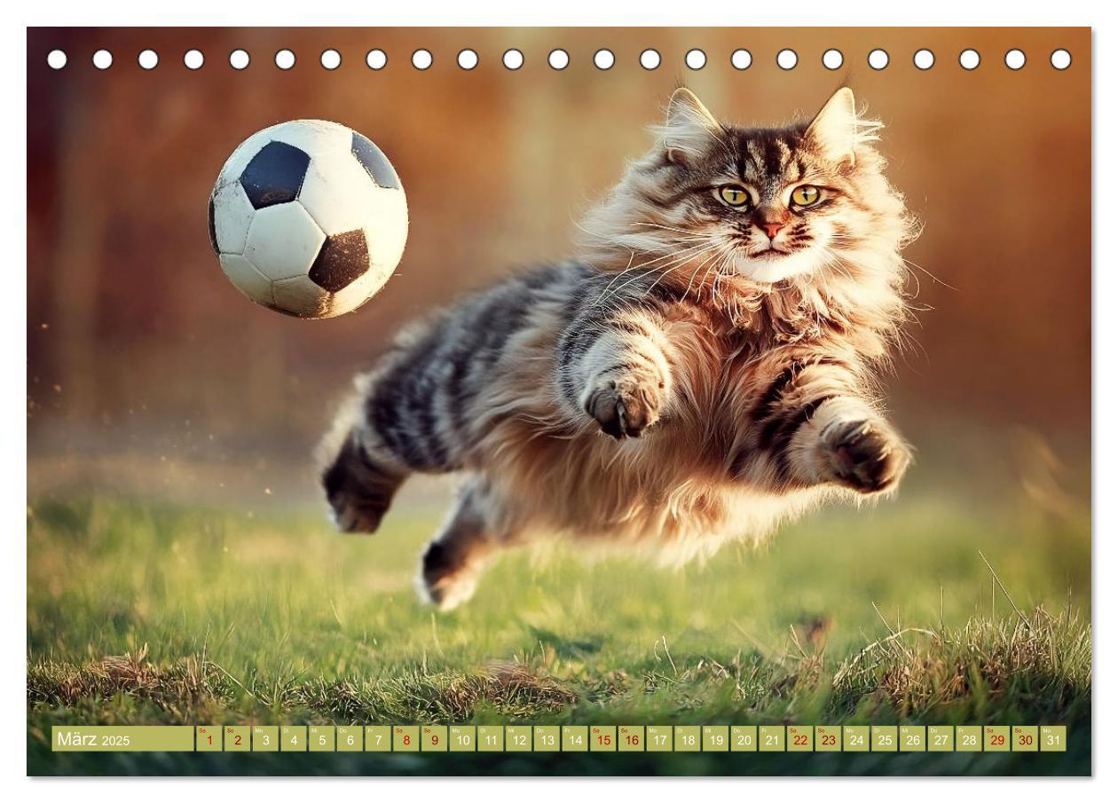 Bild: 9783457178423 | Lustige Sportarten für Katzen (Tischkalender 2025 DIN A5 quer),...