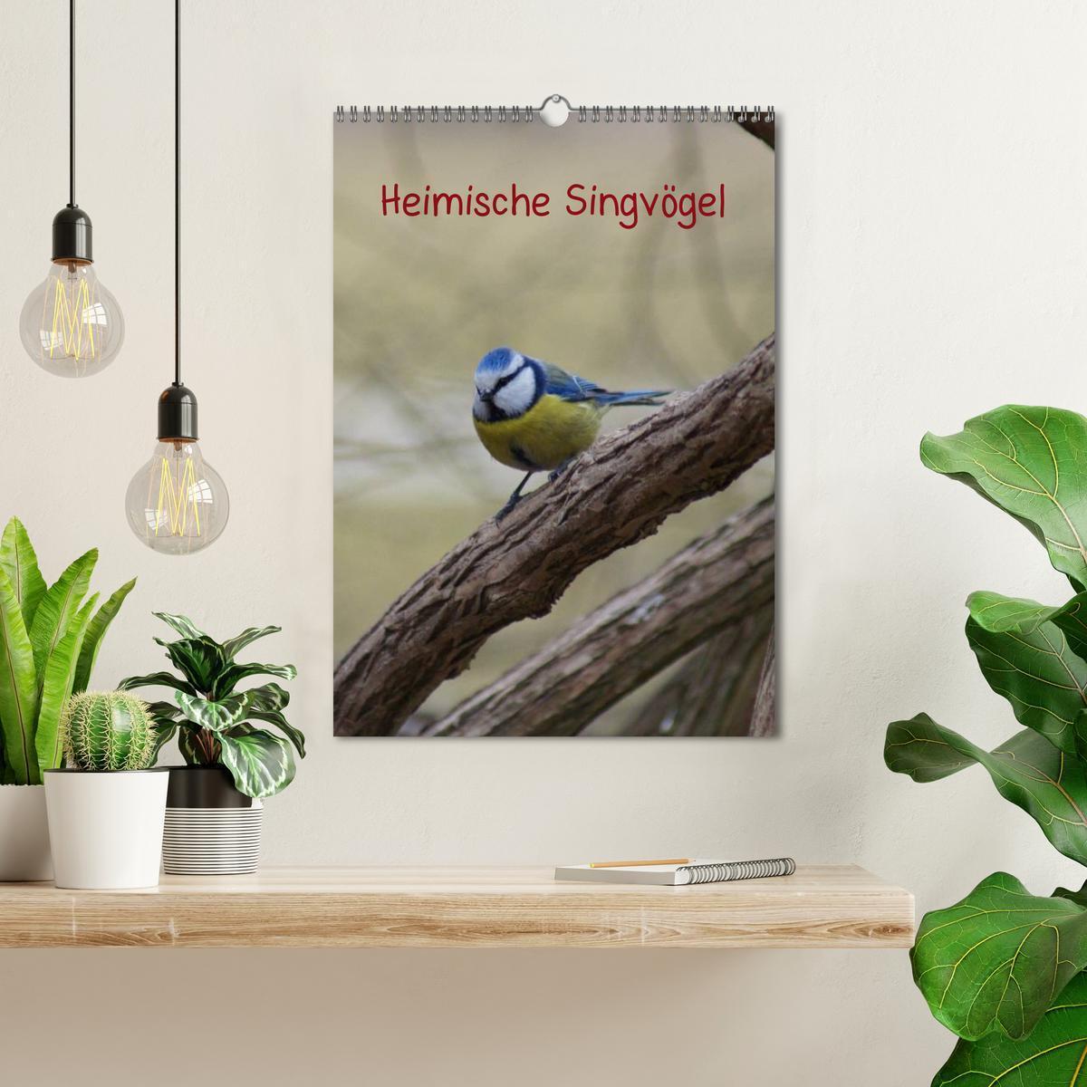 Bild: 9783457079669 | Heimische Singvögel (Wandkalender 2025 DIN A3 hoch), CALVENDO...