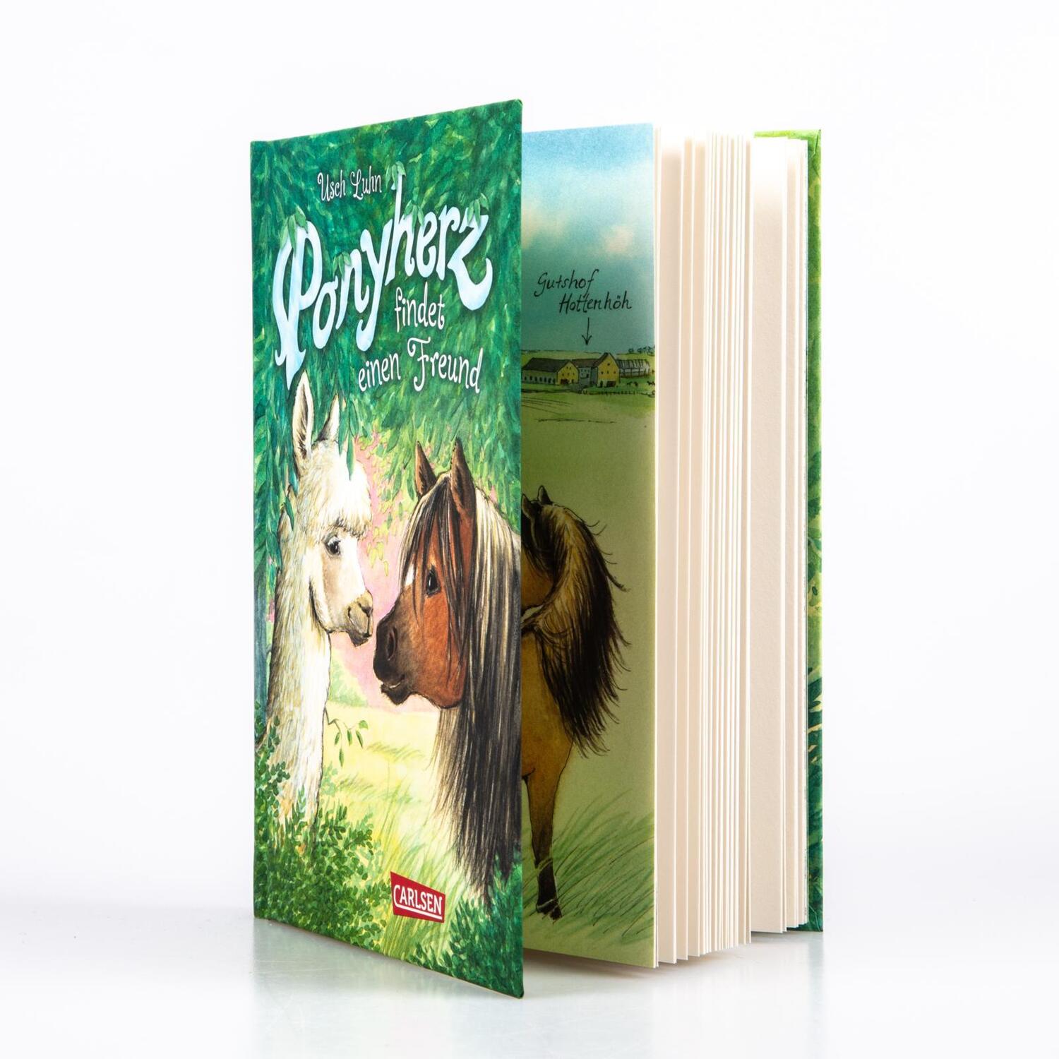 Bild: 9783551652966 | Ponyherz 16: Ponyherz findet einen Freund | Usch Luhn | Buch | 128 S.