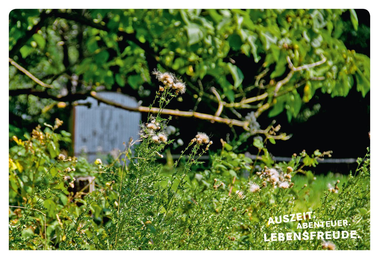 Bild: 9783770180820 | 52 kleine & große Eskapaden am Niederrhein | Ab nach draußen! | Ingala