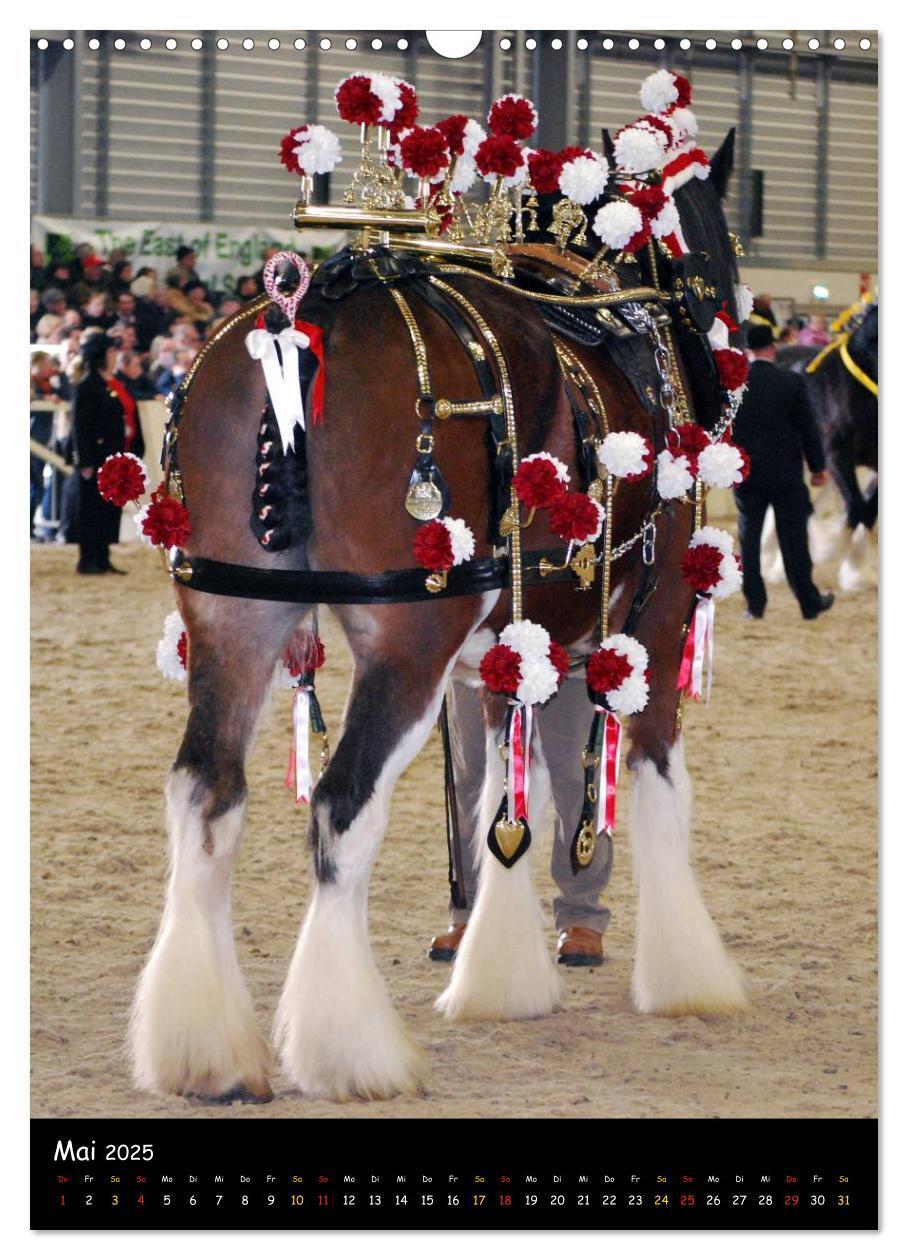 Bild: 9783457069646 | Shire Horse - Geschmückte Riesen (Wandkalender 2025 DIN A3 hoch),...