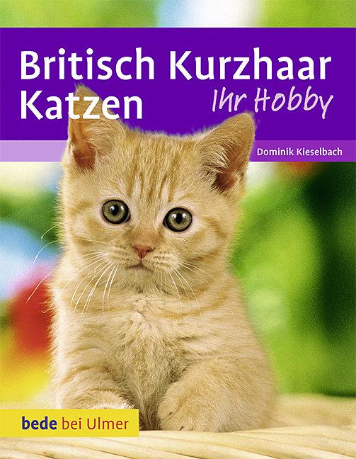 Cover: 9783800169740 | Britisch Kurzhaar Katzen | Dominik Kieselbach (u. a.) | Buch | 64 S.