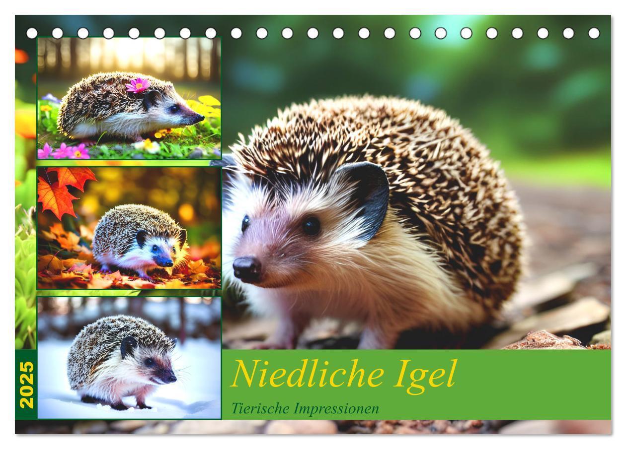 Cover: 9783383869730 | Niedliche Igel (Tischkalender 2025 DIN A5 quer), CALVENDO...