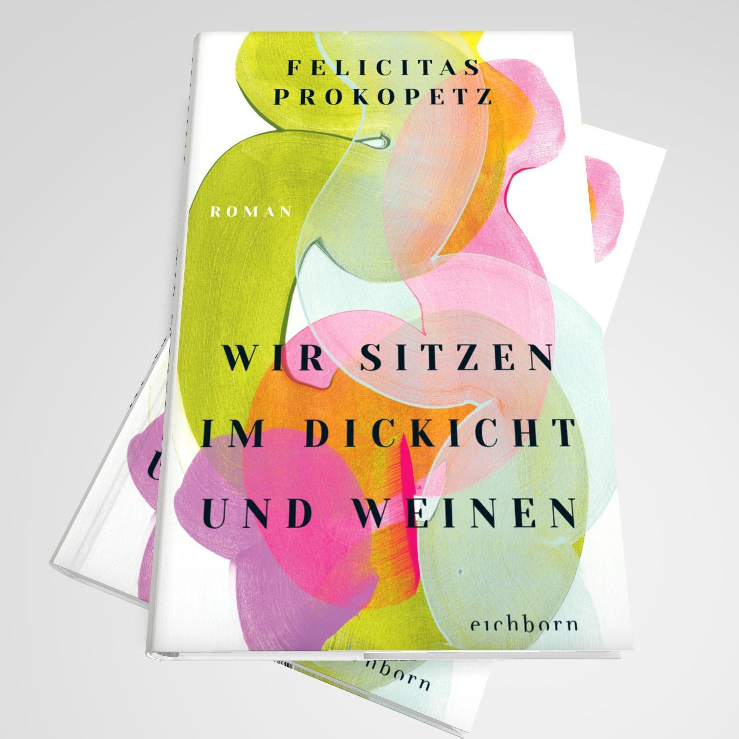 Bild: 9783847901617 | Wir sitzen im Dickicht und weinen | Felicitas Prokopetz | Buch | 2024