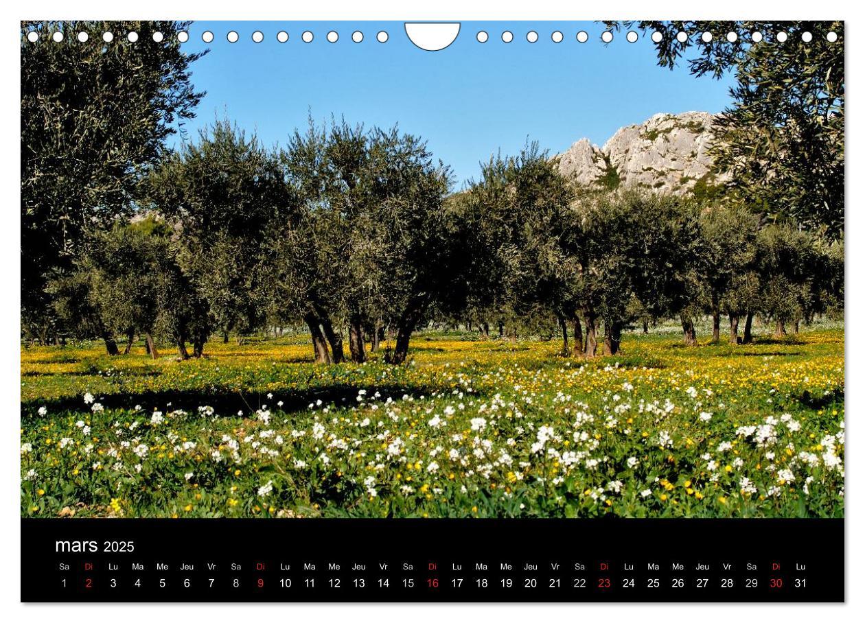 Bild: 9781325960057 | Les Alpilles en Provence (Calendrier mural 2025 DIN A4 vertical),...