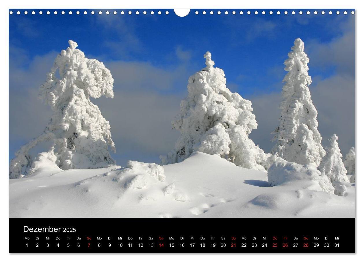 Bild: 9783435745500 | Mein Ortenaukalender 2025 (Wandkalender 2025 DIN A3 quer), CALVENDO...