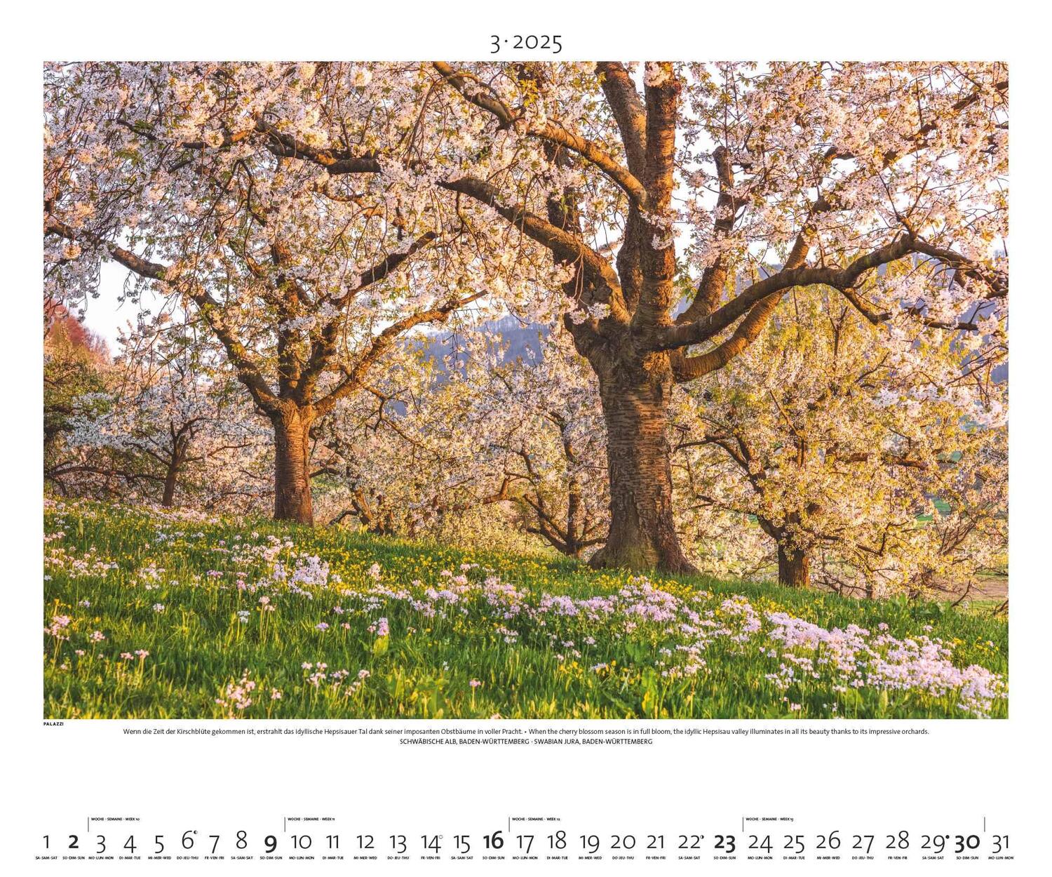 Bild: 4251734300744 | PALAZZI - Naturland Deutschland 2025 Wandkalender, 60x50cm,...