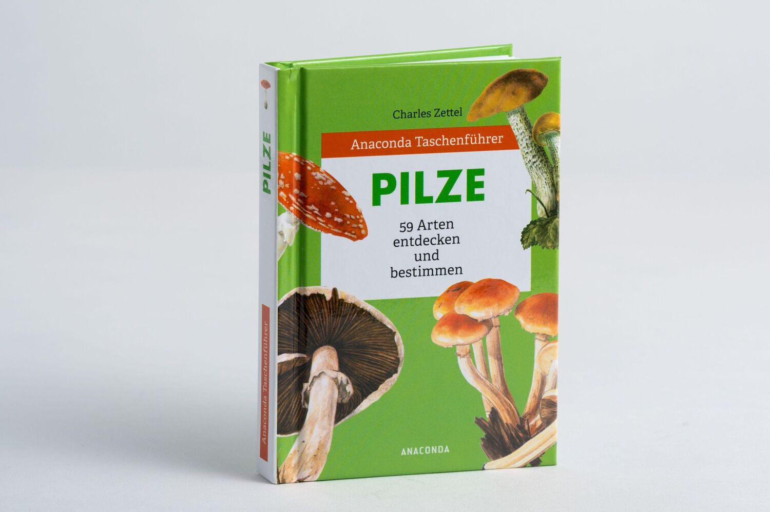 Bild: 9783730609002 | Anaconda Taschenführer Pilze. 59 Arten entdecken und bestimmen | Buch