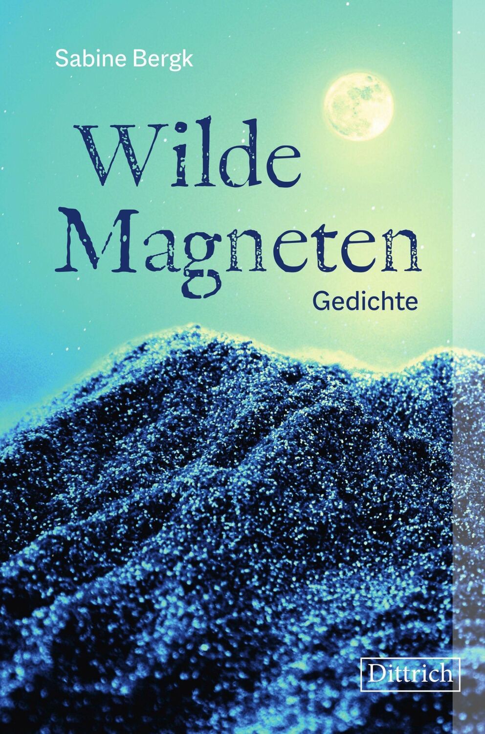 Cover: 9783947373987 | Wilde Magneten | Gedichte | Sabine Bergk | Buch | CXXVIII | Deutsch