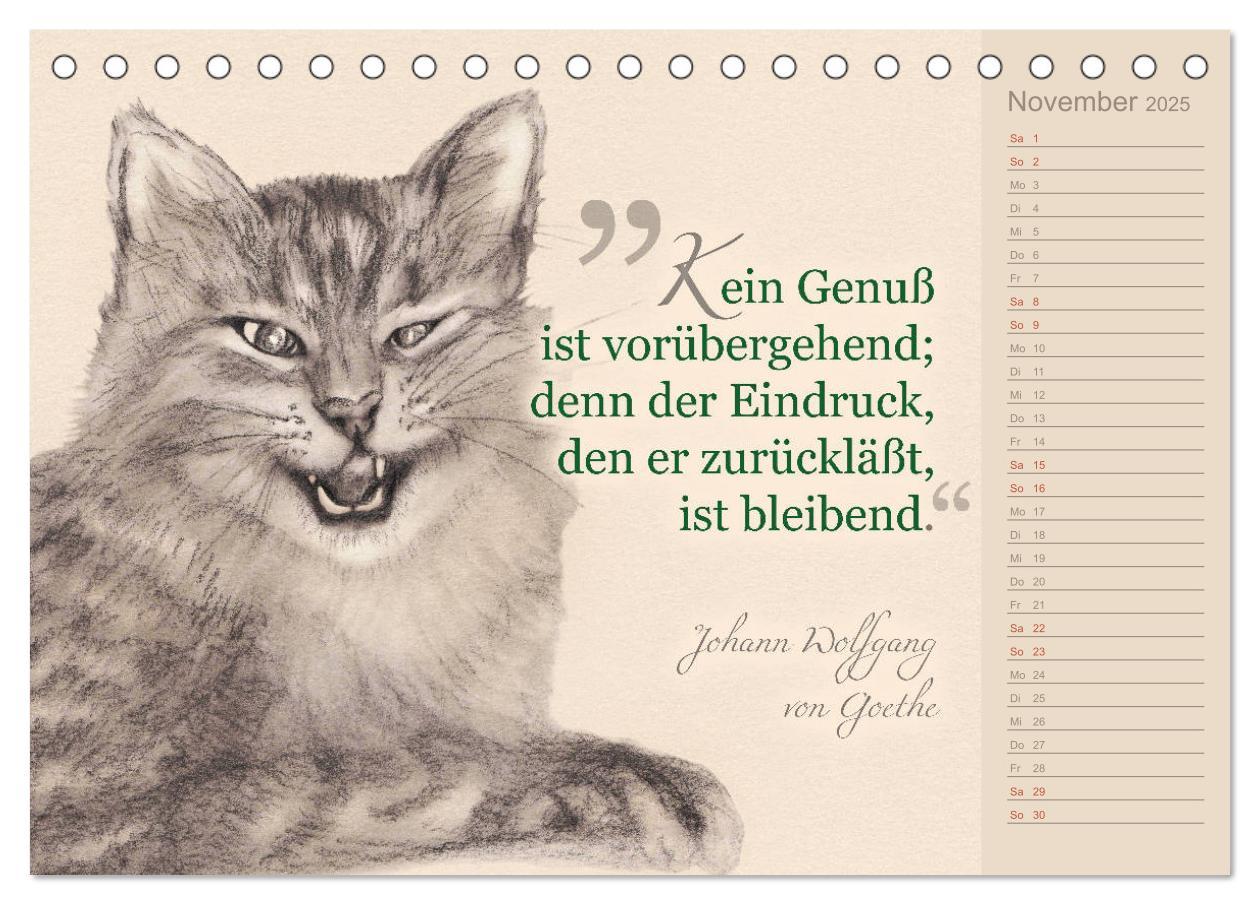 Bild: 9783435454396 | Von Katzen lernen (Tischkalender 2025 DIN A5 quer), CALVENDO...