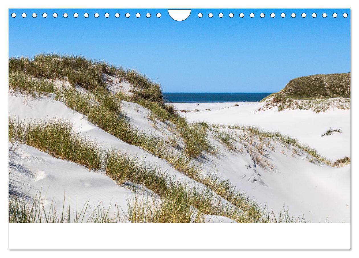 Bild: 9783383861031 | Amrum - Das Paradies in der Nordsee (Wandkalender 2025 DIN A4...