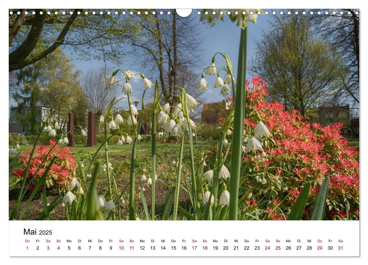 Bild: 9783435423200 | Buxtehude - Eine Perle in Niedersachsen (Wandkalender 2025 DIN A3...