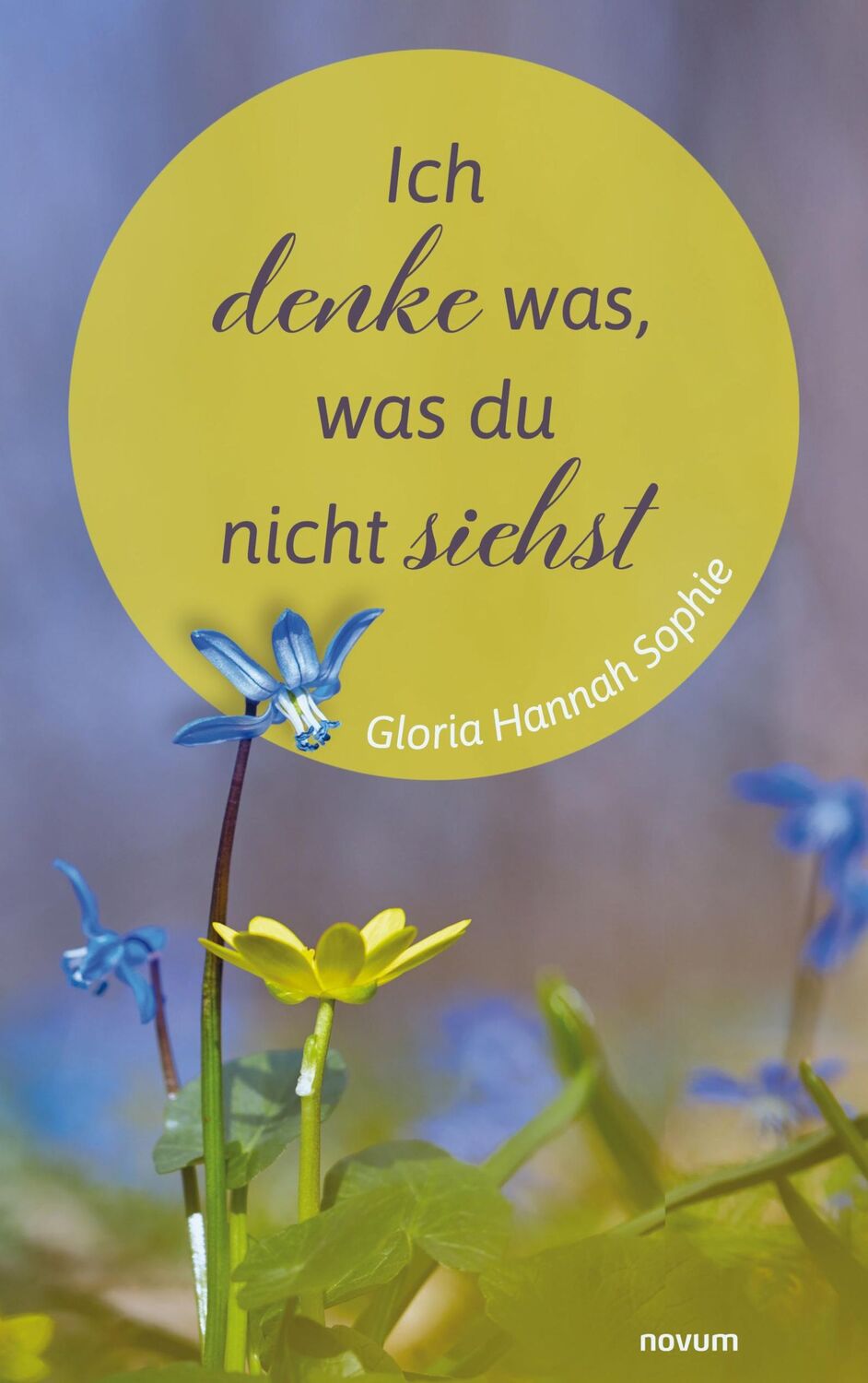 Cover: 9783991317753 | Ich denke was, was du nicht siehst | Gloria Hannah Sophie | Buch