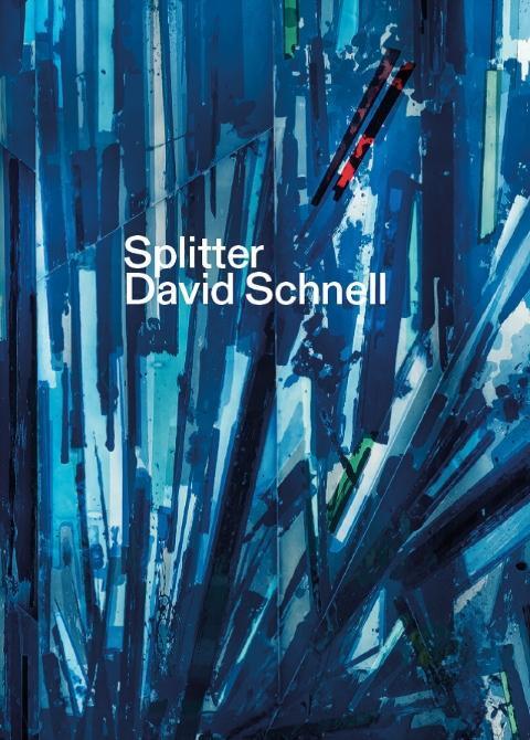 Cover: 9783865024220 | Splitter. David Schnell | David Schnell | Taschenbuch | 128 S. | 2019