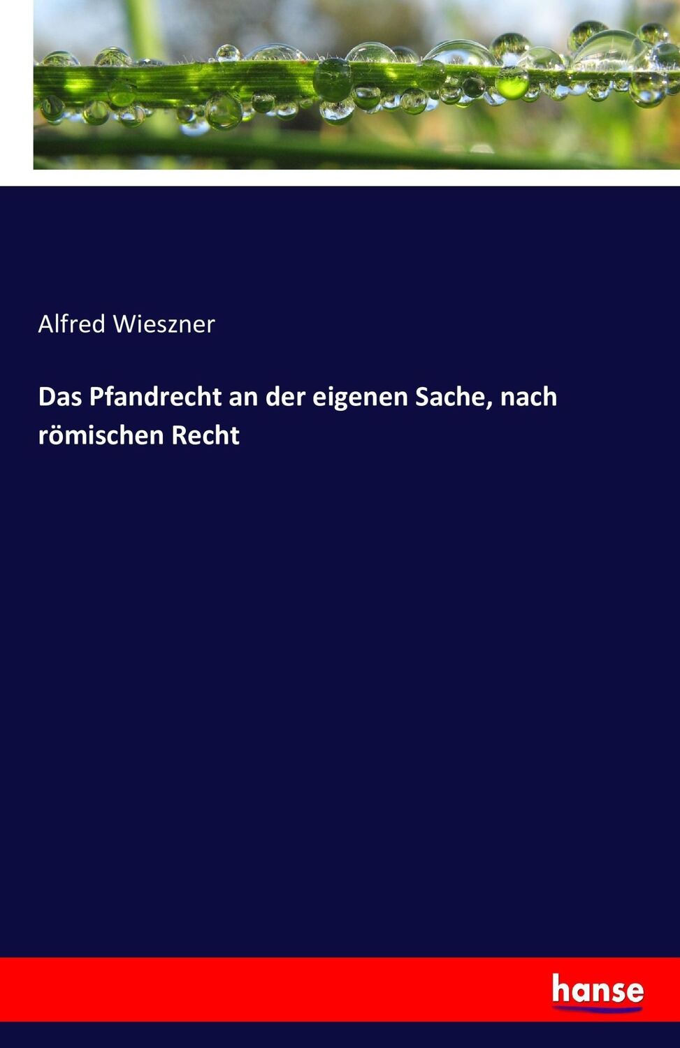 Cover: 9783743611818 | Das Pfandrecht an der eigenen Sache, nach römischen Recht | Wieszner