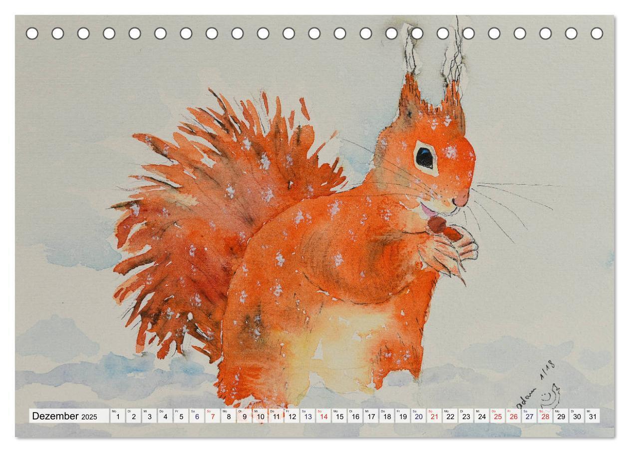 Bild: 9783435404124 | Eichhörnchen in Aquarell (Tischkalender 2025 DIN A5 quer), CALVENDO...