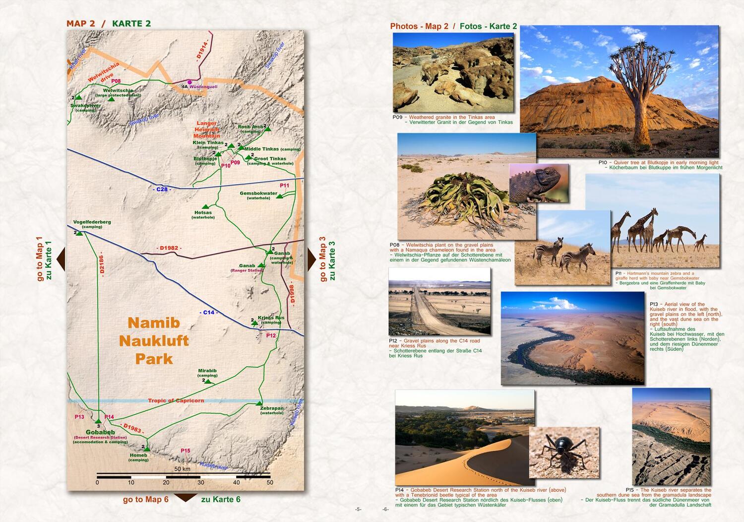 Bild: 9783947895441 | Das komplette Kartenset NAMIBIA Plus (4-teilig) | Plessis (u. a.)