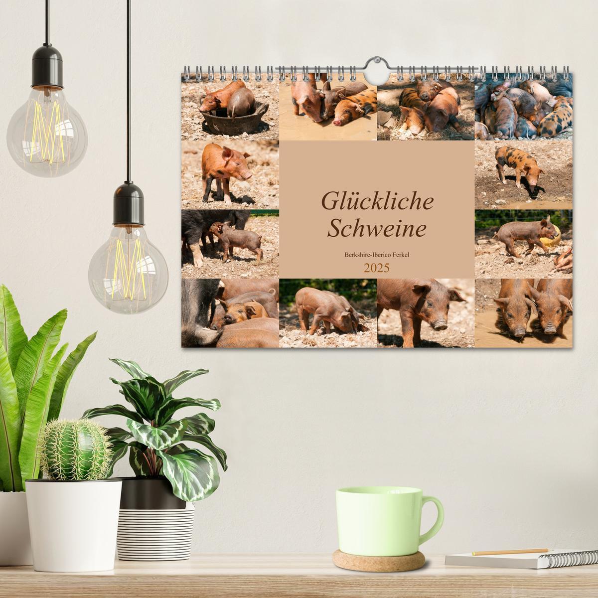 Bild: 9783435196210 | Glückliche Schweine Berkshire-Iberico Ferkel (Wandkalender 2025 DIN...