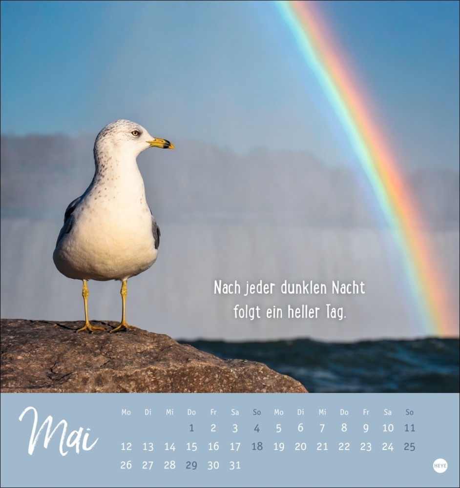 Bild: 9783756407132 | Never give up! Postkartenkalender 2025 | Kalender | Spiralbindung