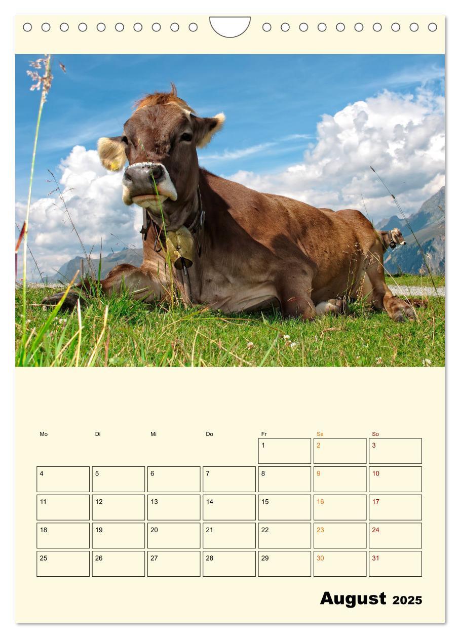 Bild: 9783435904358 | Glückliche Bergkühe (Wandkalender 2025 DIN A4 hoch), CALVENDO...