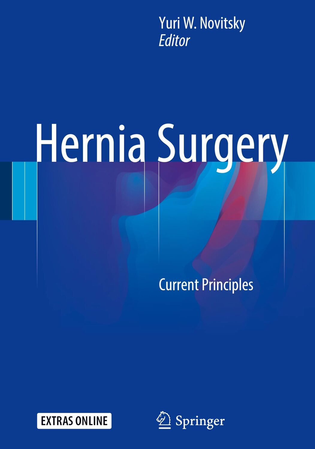 Cover: 9783319274683 | Hernia Surgery | Current Principles | Yuri W. Novitsky | Buch | xix