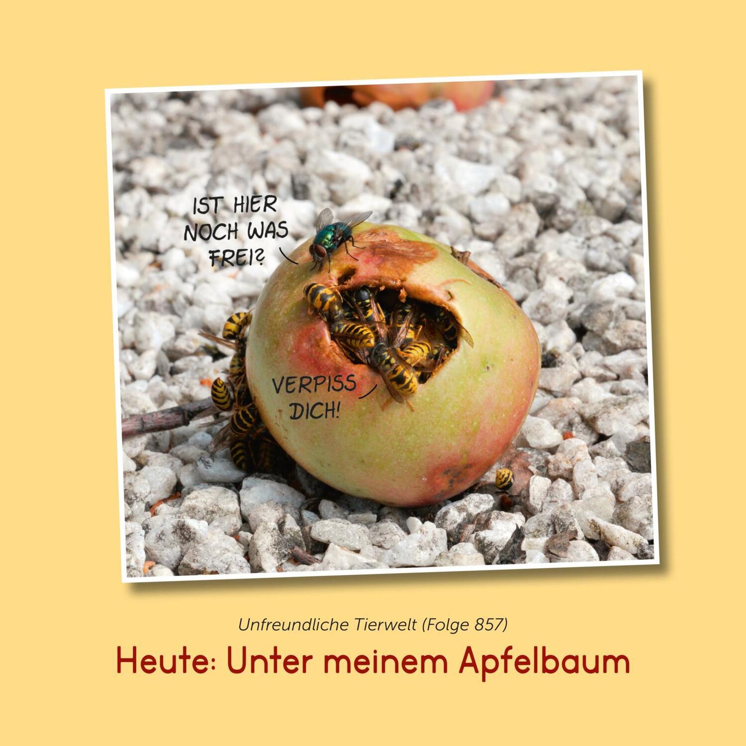 Bild: 9783830344650 | Im Garten! | Uli Stein | Buch | Uli Stein Für dich! | 64 S. | Deutsch