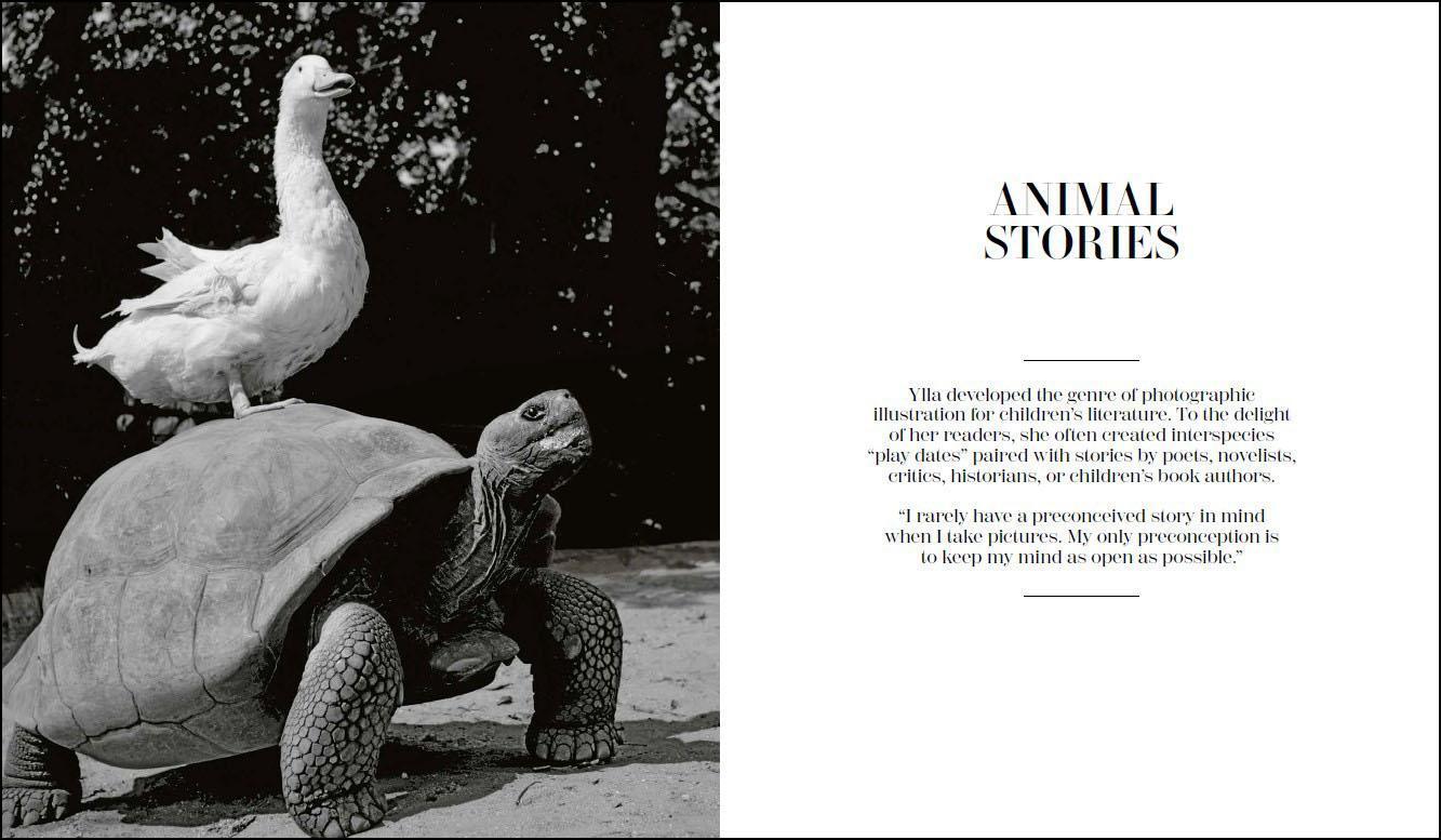 Bild: 9783777442624 | Ylla | The Birth of Modern Animal Photography | Pryor Dodge | Buch