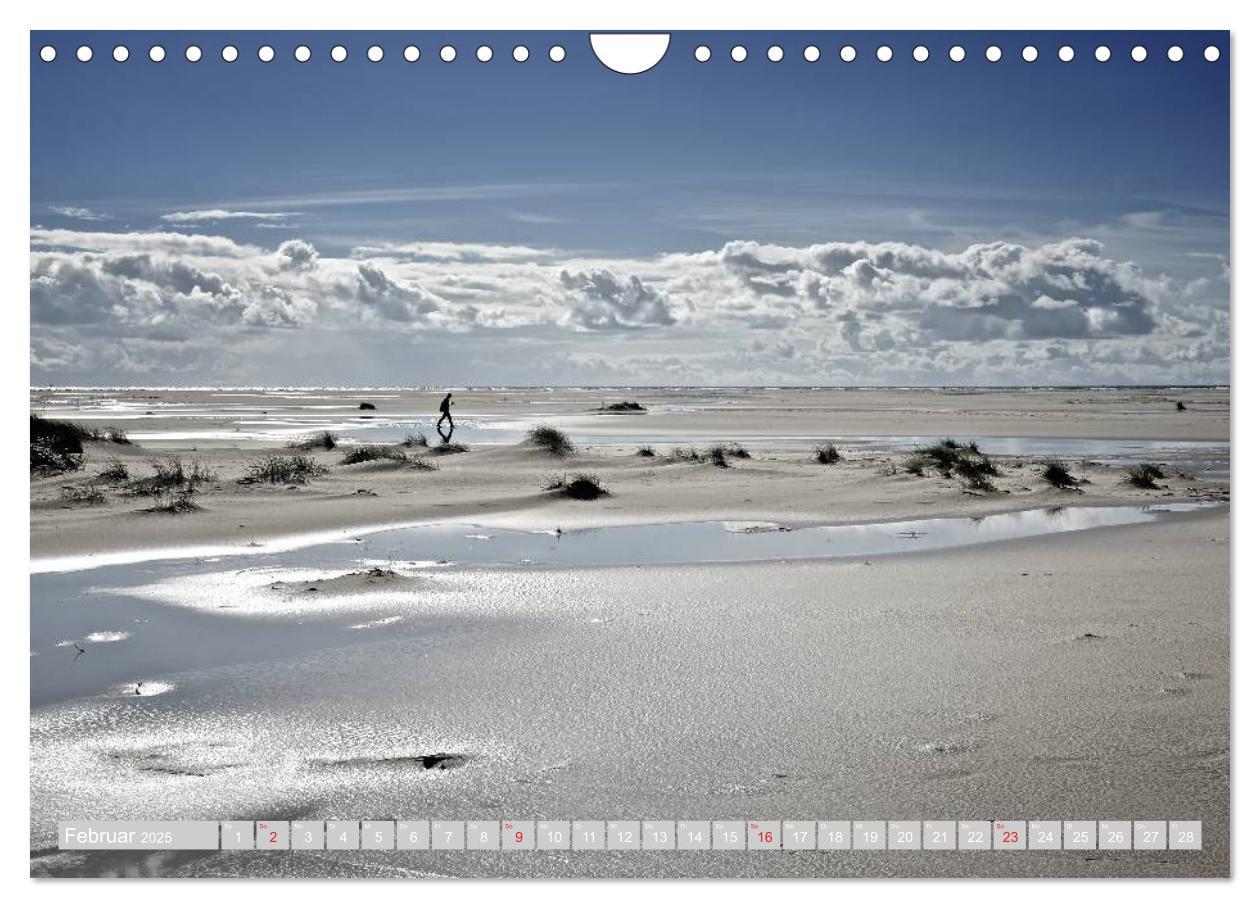 Bild: 9783435715633 | Amrum, die Perle in der Nordsee (Wandkalender 2025 DIN A4 quer),...