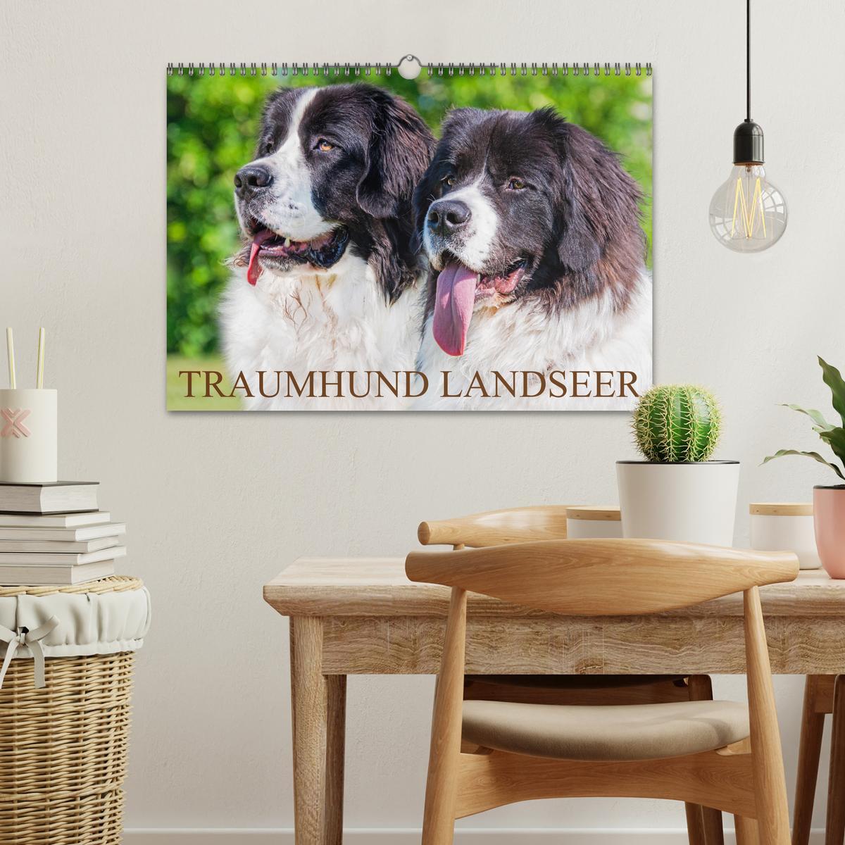 Bild: 9783383893865 | Traumhund Landseer (Wandkalender 2025 DIN A3 quer), CALVENDO...