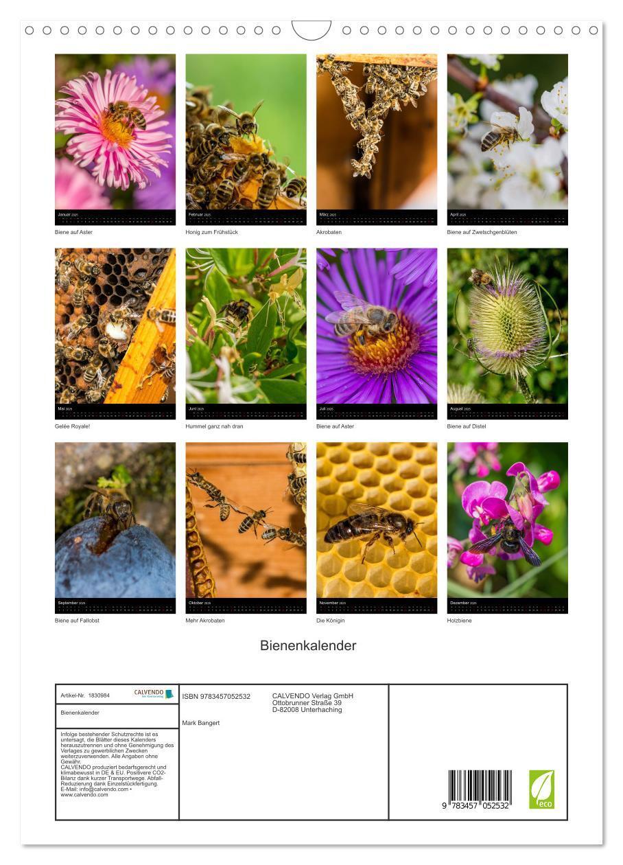 Bild: 9783457052532 | Bienenkalender (Wandkalender 2025 DIN A3 hoch), CALVENDO...