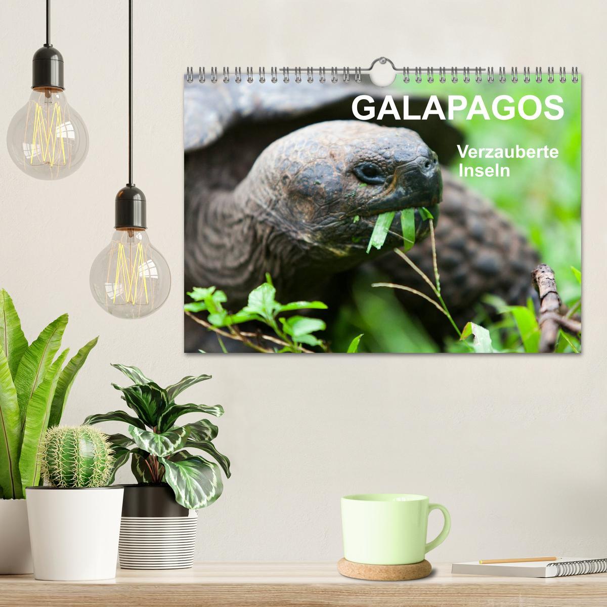 Bild: 9783435630684 | Galapagos. Verzauberte Inseln (Wandkalender 2025 DIN A4 quer),...