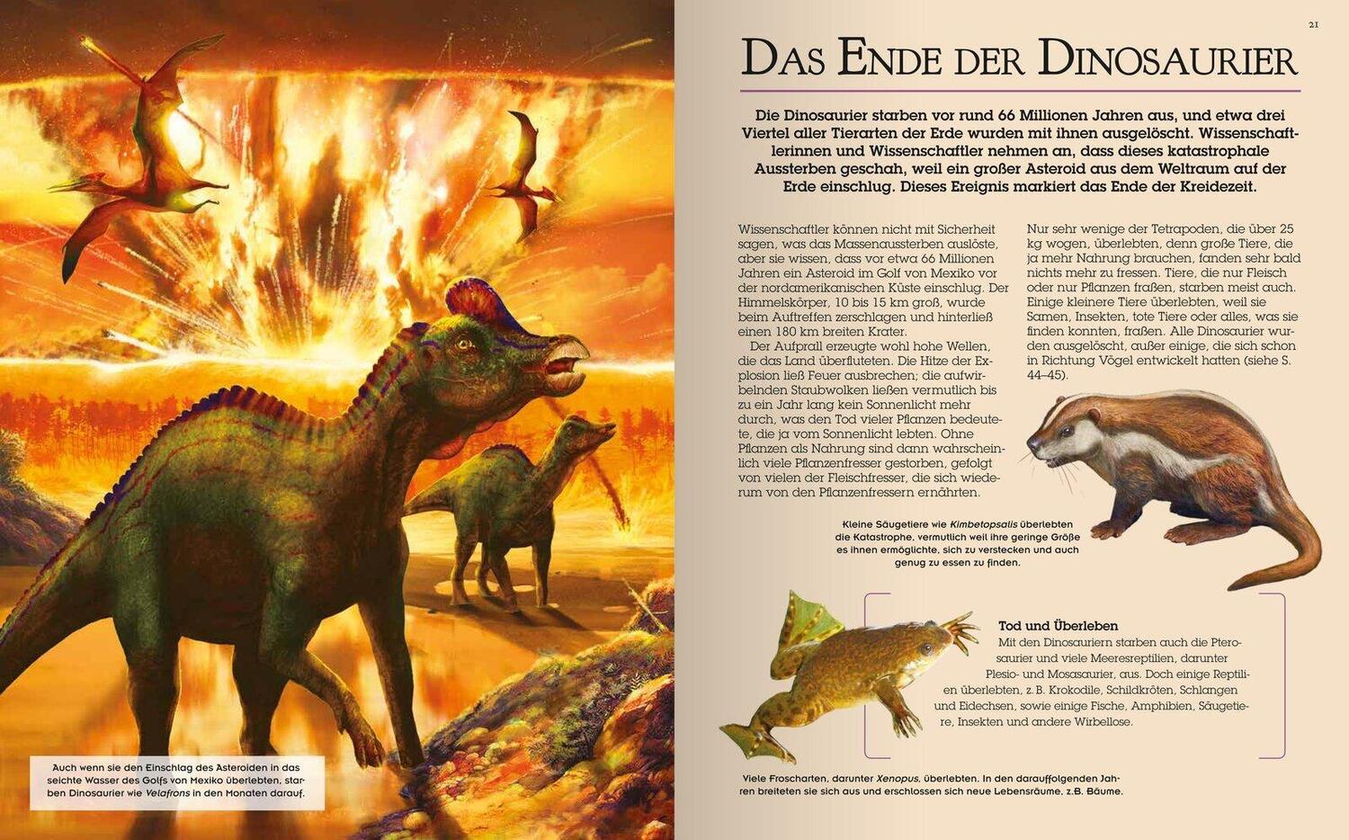 Bild: 9783741527241 | Das große Dinosaurierbuch | Claudia Martin | Buch | 128 S. | Deutsch