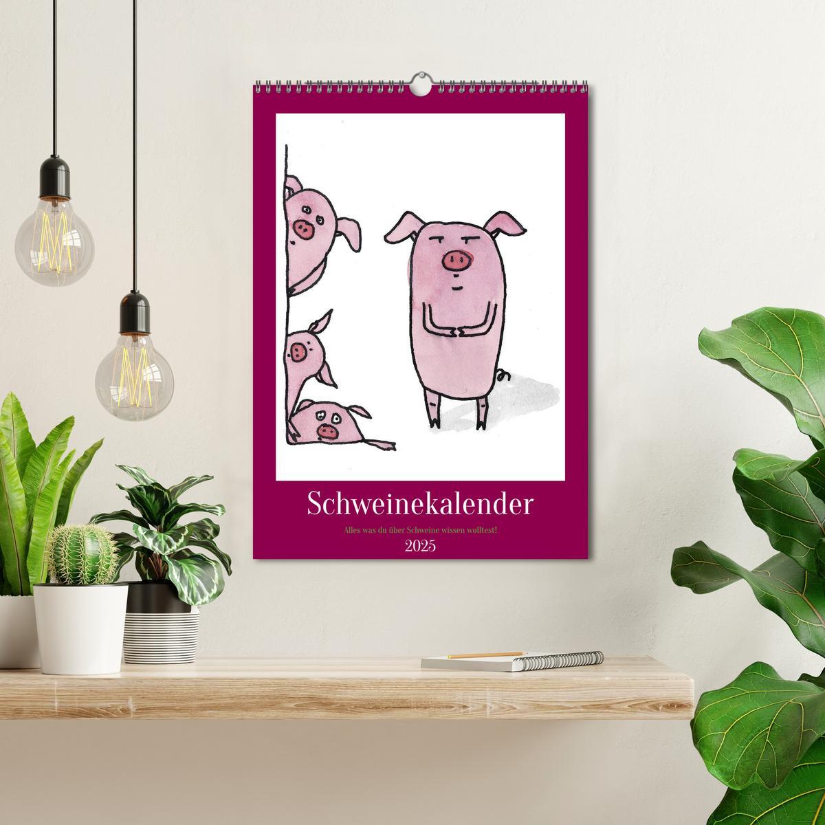 Bild: 9783435876242 | Schweinekalender - Alles was du über Schweine wissen wolltest!...