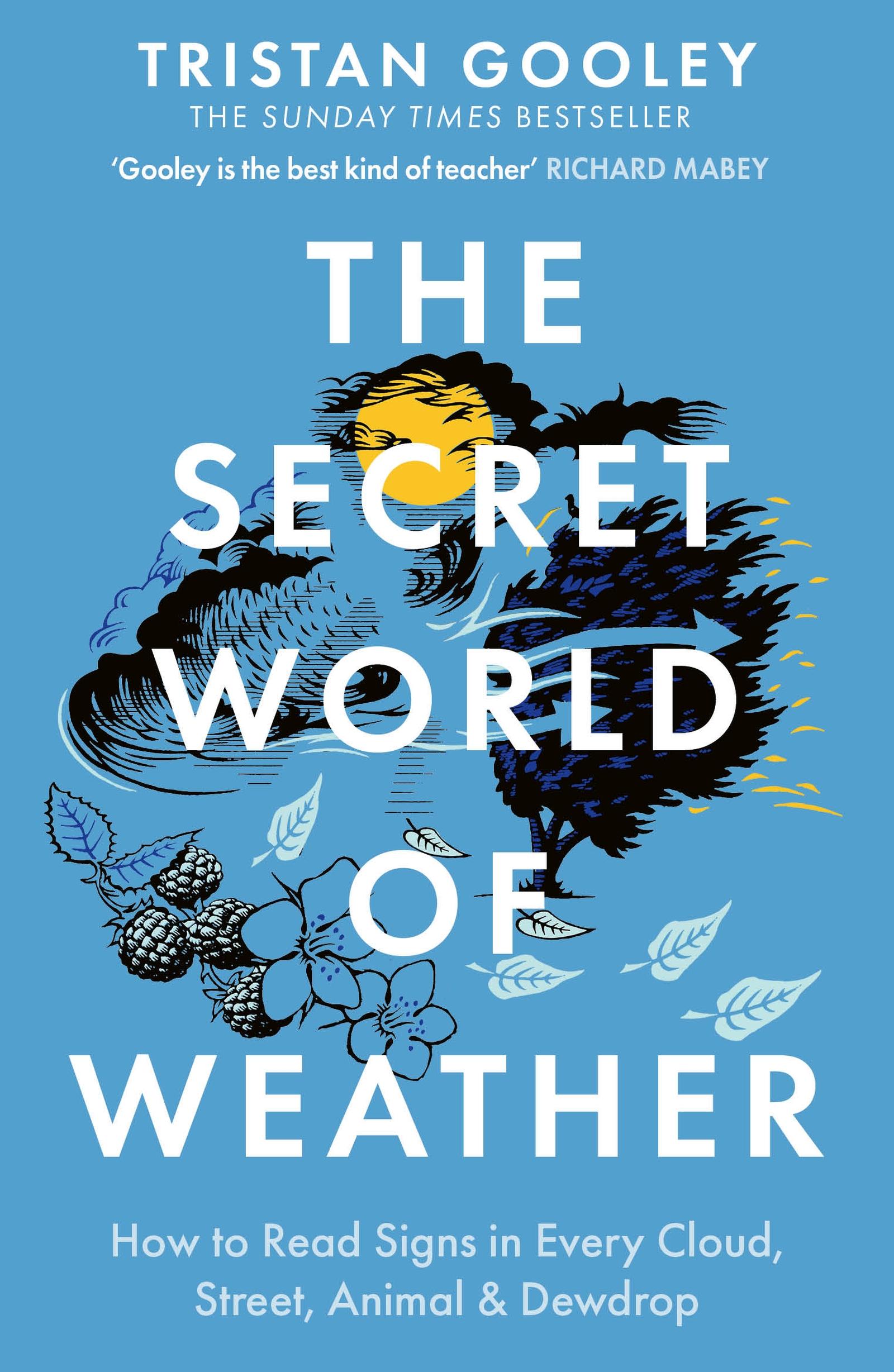 Cover: 9781529339581 | The Secret World of Weather | Tristan Gooley | Taschenbuch | Englisch