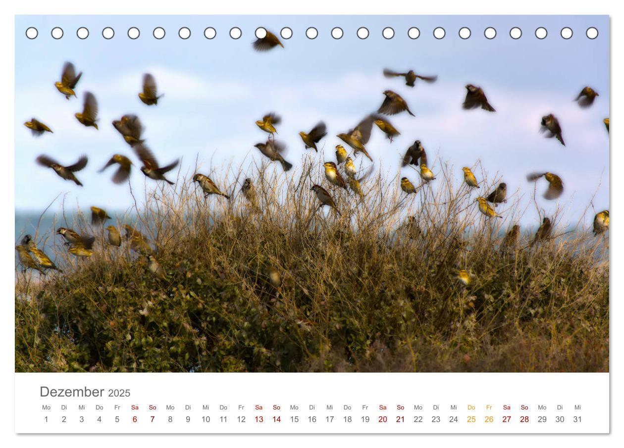 Bild: 9783435121762 | Alentejo Portugal - Küstenimpressionen (Tischkalender 2025 DIN A5...