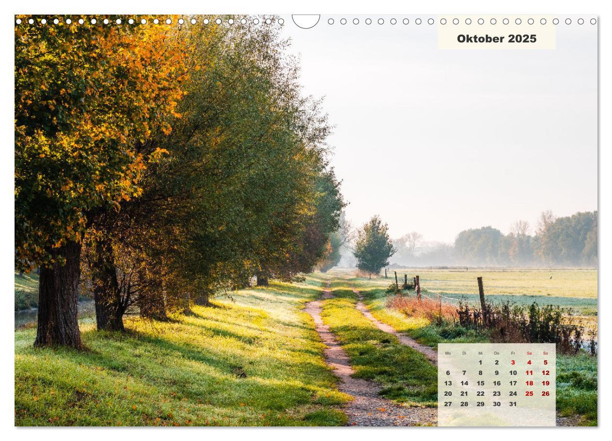 Bild: 9783383922626 | Ein Jahr Niederrhein Wiesen und Wälder (Wandkalender 2025 DIN A3...