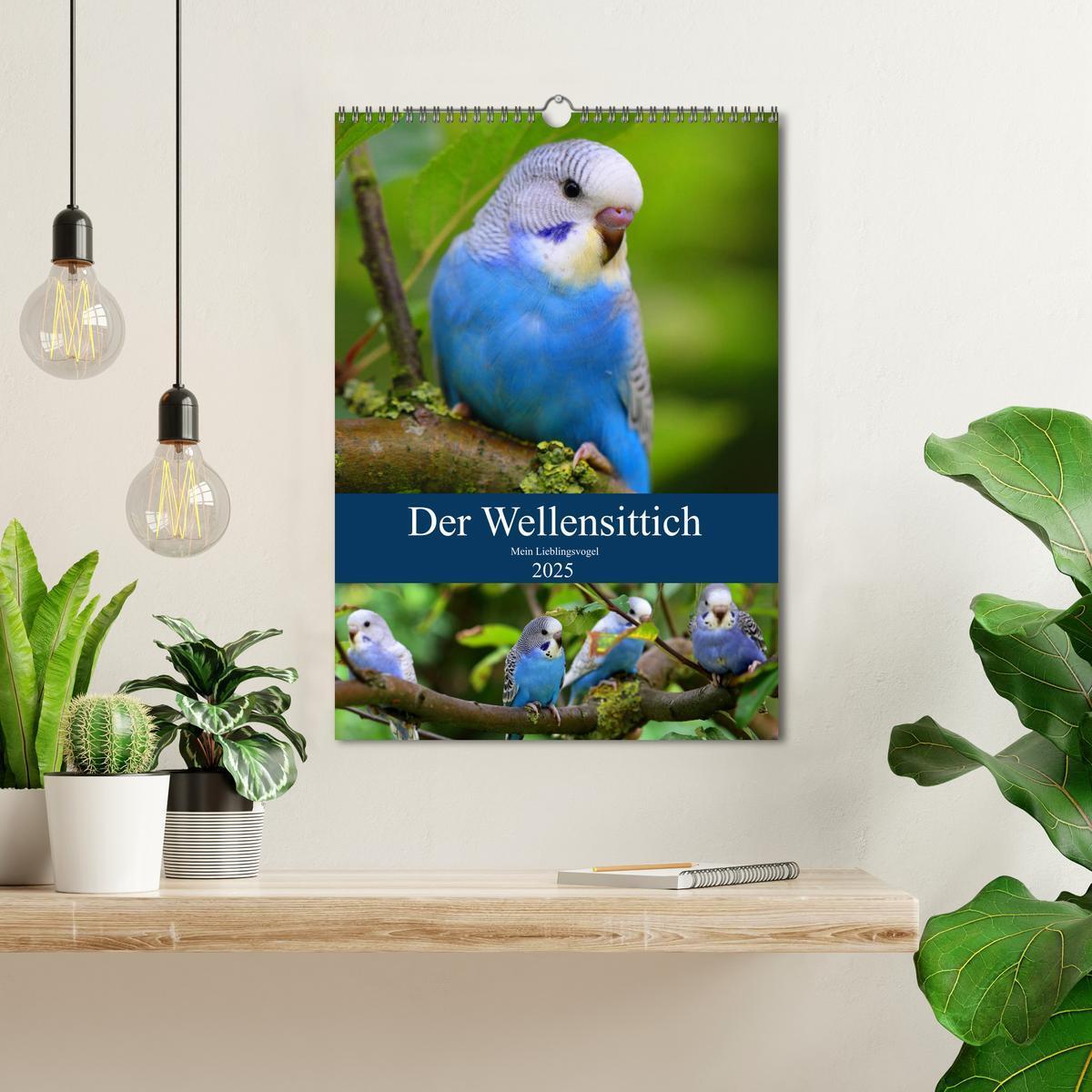 Bild: 9783435936717 | Der Wellensittich - Mein Lieblingsvogel (Wandkalender 2025 DIN A3...