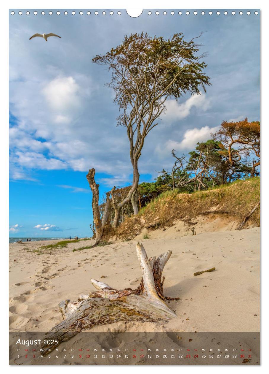 Bild: 9783435956272 | Wunderbare Ostseelandschaft Fischland-Darß-Zingst (Wandkalender...