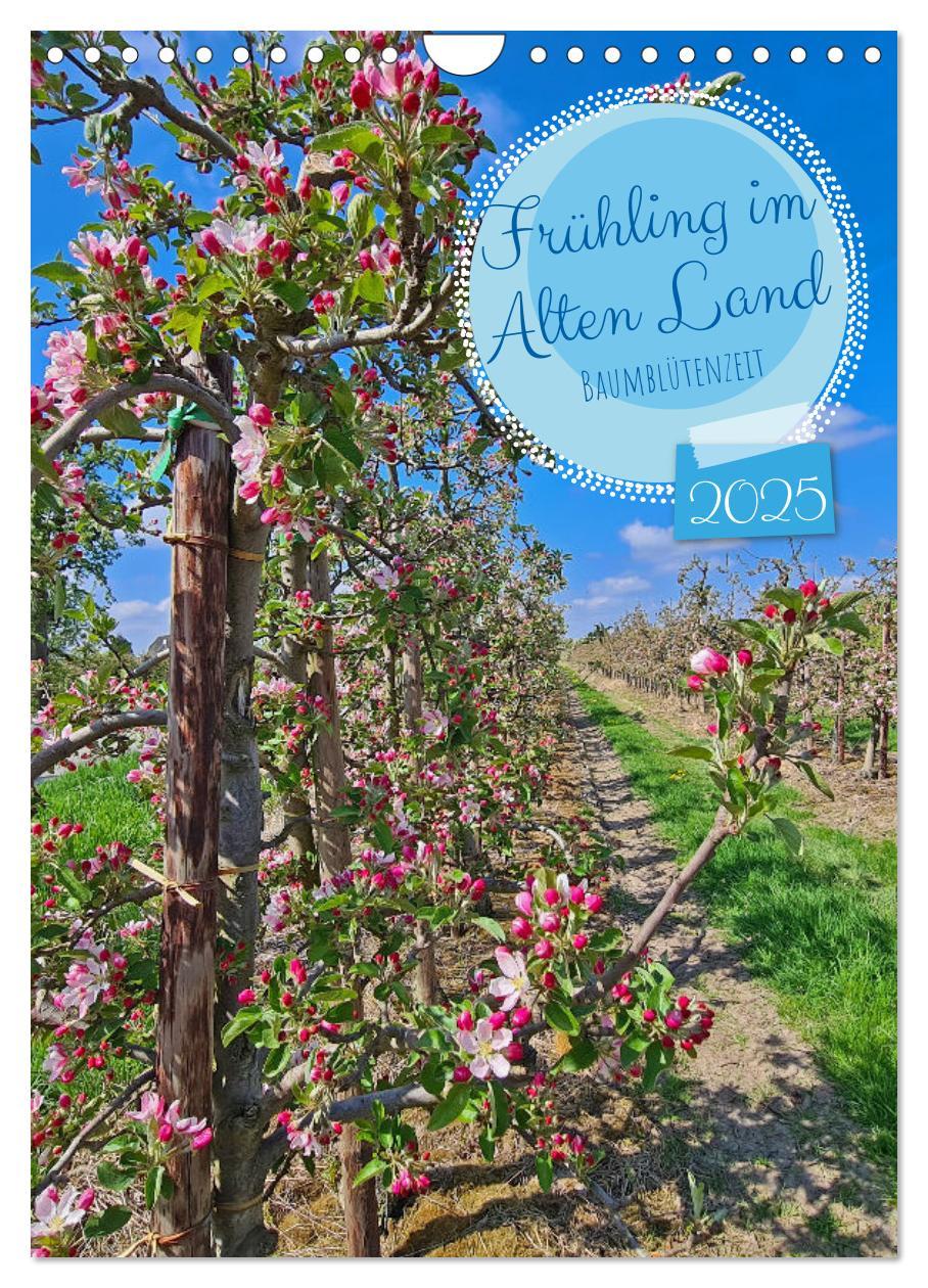 Cover: 9783435901647 | Frühling im Alten Land - Baumblütenzeit (Wandkalender 2025 DIN A4...