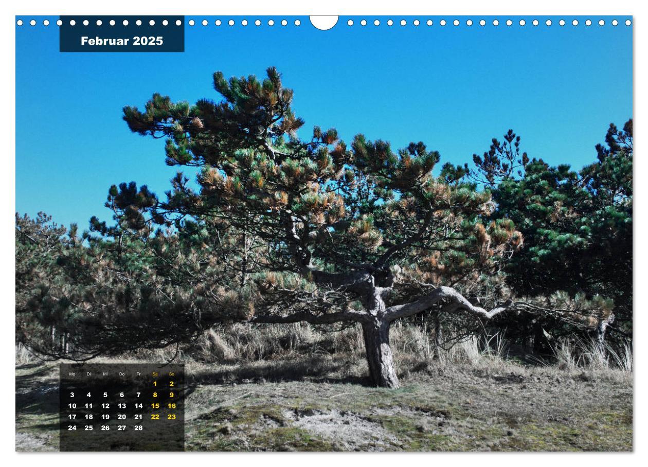 Bild: 9783435331390 | Texel Insel mit Charakter (Wandkalender 2025 DIN A3 quer), CALVENDO...