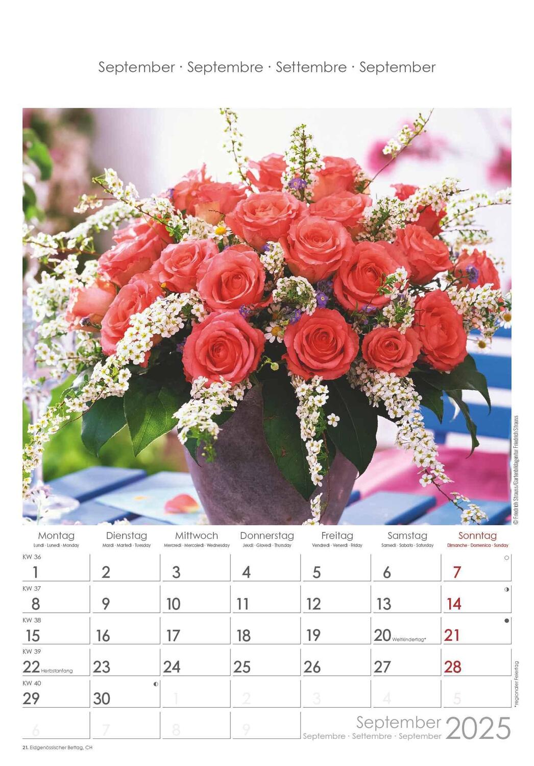 Bild: 4251732340995 | Rosenträume 2025 - Bildkalender 23,7x34 cm - Kalender mit Platz für...