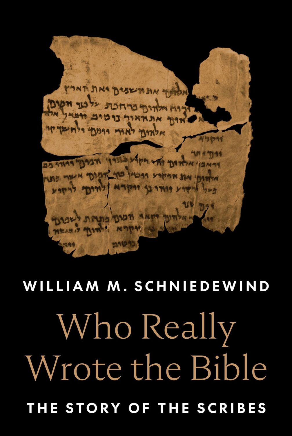 Cover: 9780691233178 | Who Really Wrote the Bible | The Story of the Scribes | Schniedewind